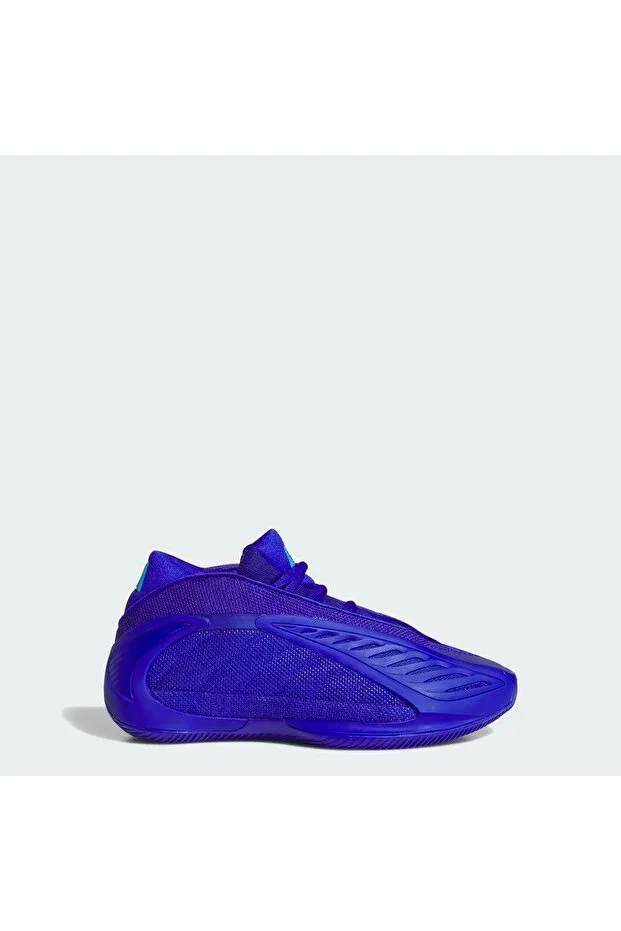 ANTHONY EDWARDS 2 J Shoe
