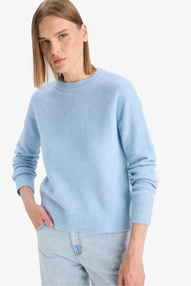 Regular Fit Bicycle Collar Basic Plain Soft Touch Soft Knit Sweater D8678AX25SP