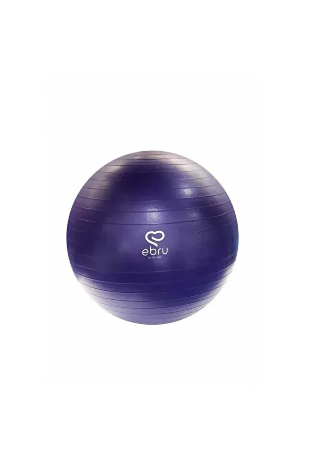 Ebruli 65cm Purple Pilates Ball