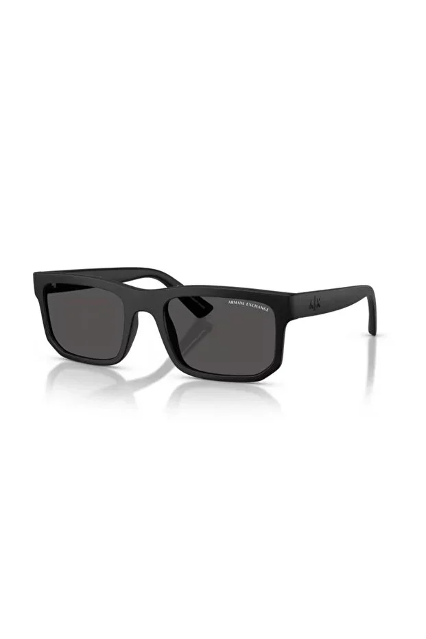 AX4165S 807887 56 Men's Sunglasses