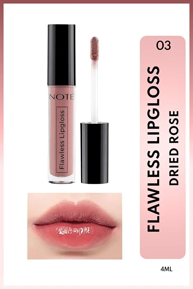 Flawless Lipgloss Moisturizing Lip Gloss - 03 Dried Rose - Pink