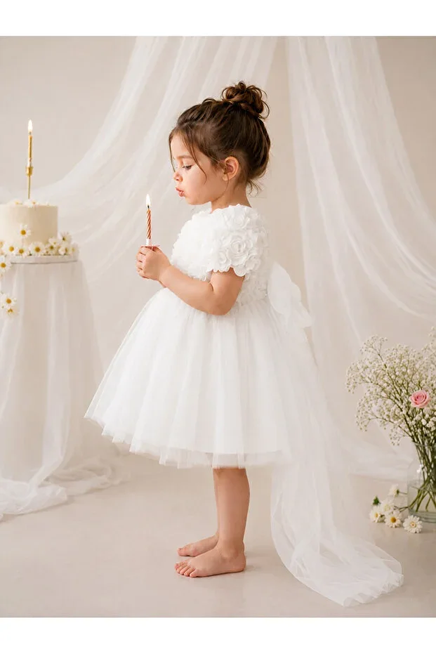 Girl Baby Dress Short Sleeve Bow Flower Birthday Party Wedding Special Occasion Evening Dress Girl Child Dress