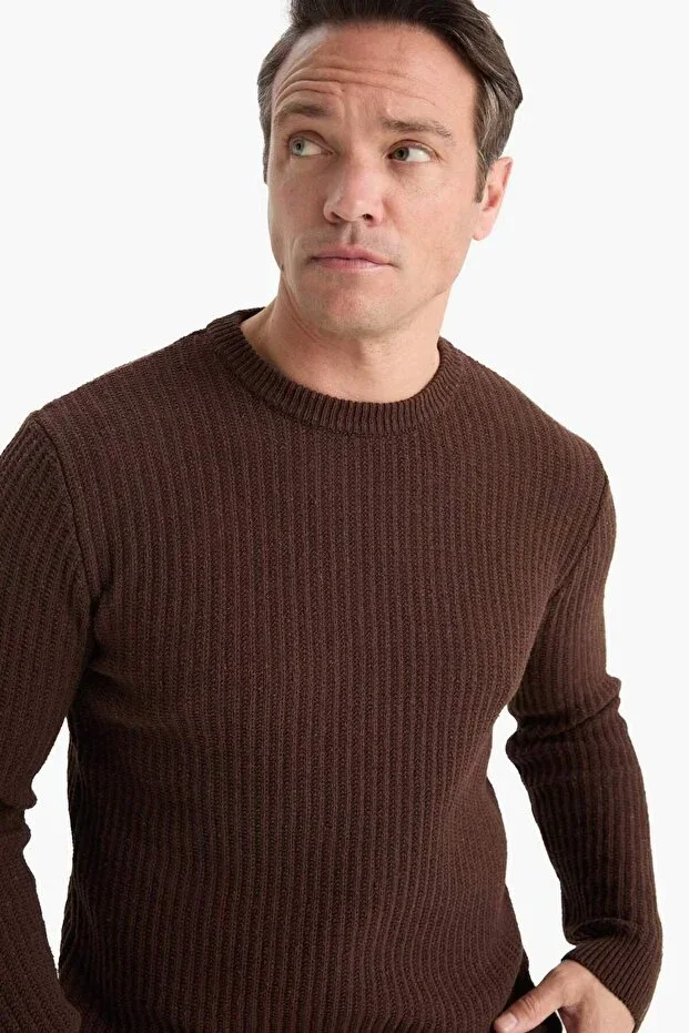 Standard Fit Crew Neck Basic Textured Knit Sweater E0811AX25WN