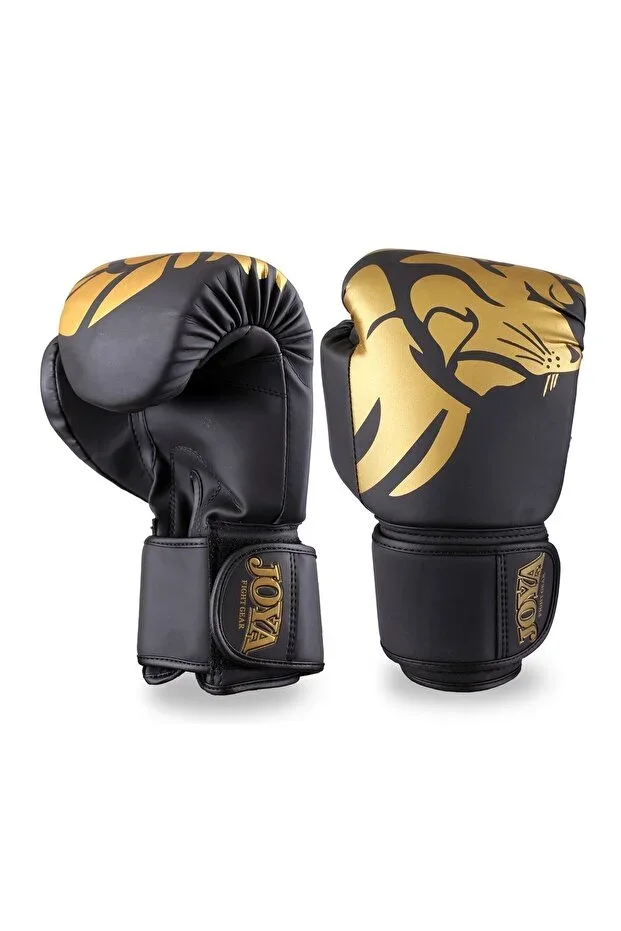 Kickboxing Gloves
