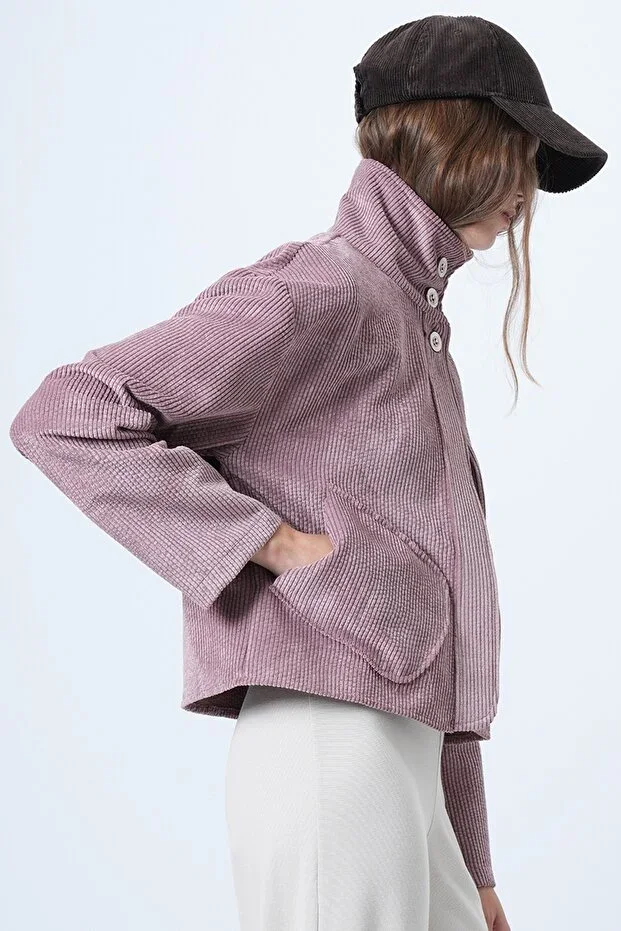 Women's Powder Pink Stand-Up Collar Bag Pocket Velvet Jacket ALC-X14618
