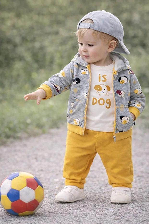 Men's Baby Daily 3-Piece Set Hooded Cardigan T-shirt and Sweatpants Set