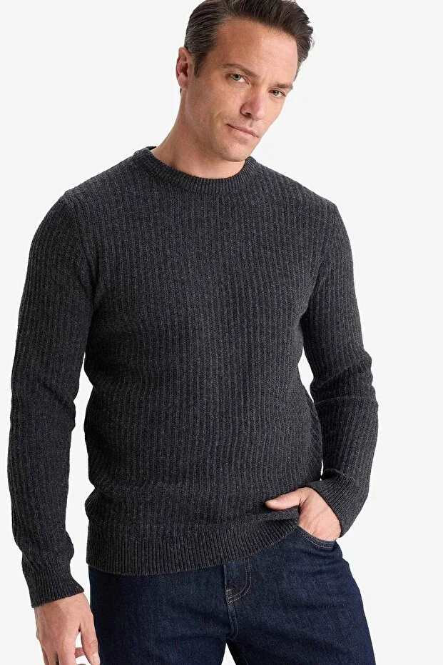 Standard Fit Crew Neck Basic Textured Knit Sweater E0811AX25WN