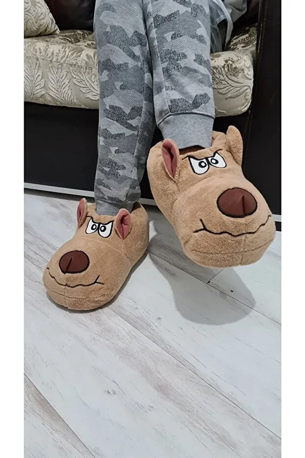 New Ev Pandufu