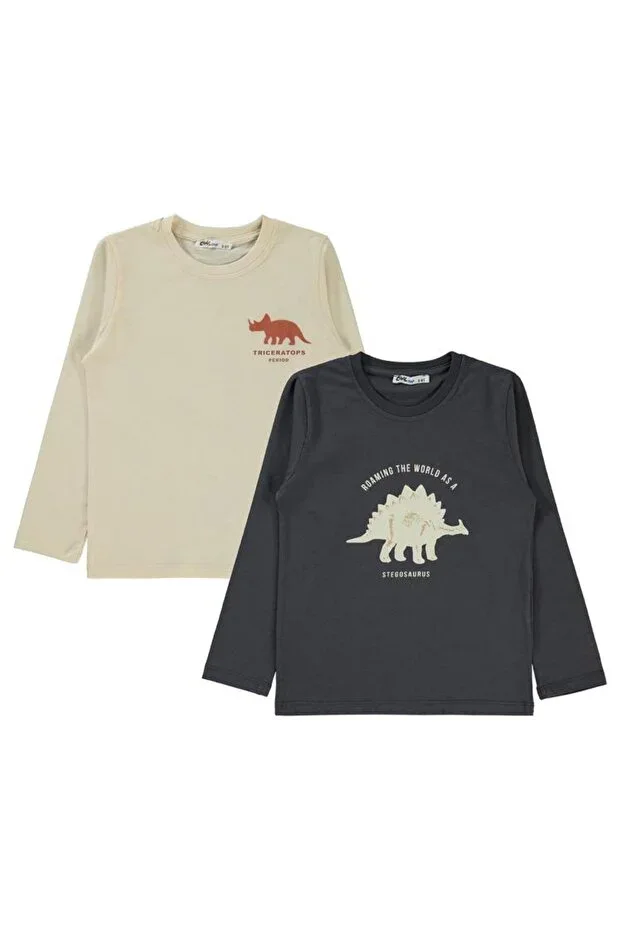 Dino Printed 2-pack 5-13 Years Sweatshirt - Standard