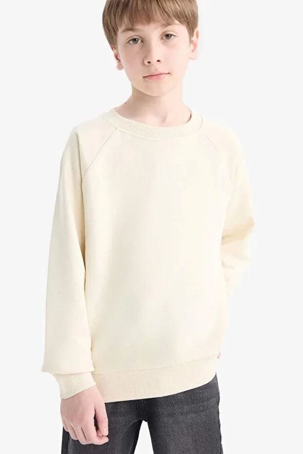 DeFacto Bicycle Collar Basic Plain School Sweatshirt Boys E8415A825AU