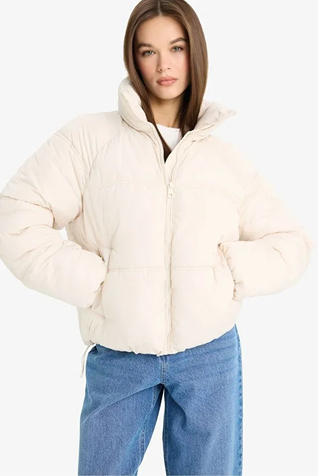 Waterproof Regular Fit Stand-Up Collar Zip-Up Puffer Jacket E8690AX25AU