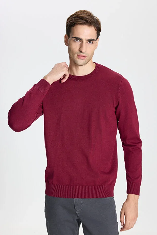 Bordo Standard Fit Normal Cut Crew Neck Knit Sweater