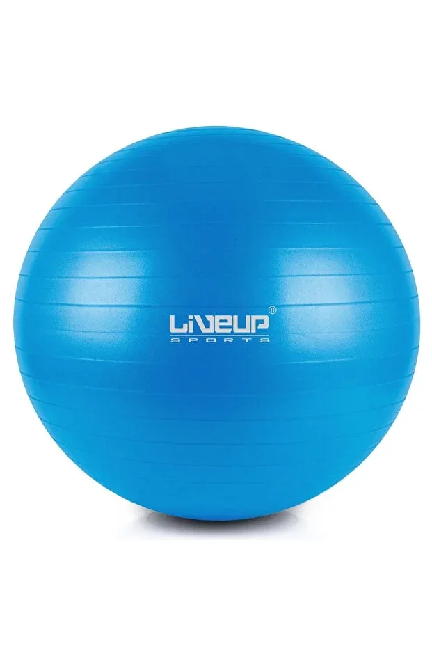 LS3222 55cm Anti-Burst Pilates Ball + Pump