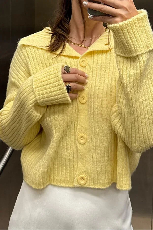 Basic Crop Soft Textured Stand-Neck Knit Cardigan AW25HI0004