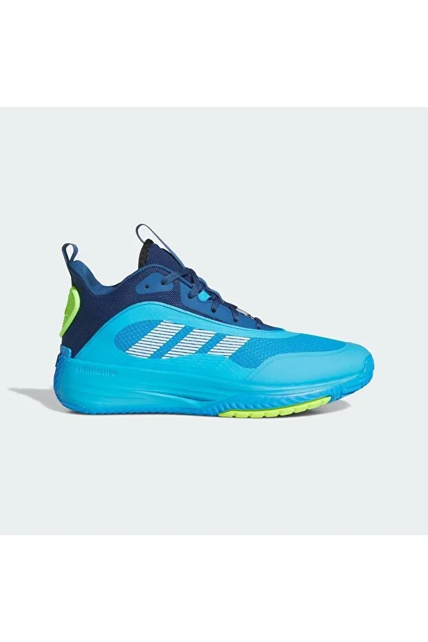 Ownthegame 3.0 Shoes