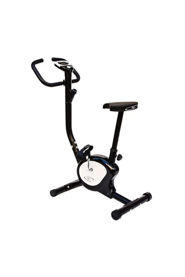 Ritmo Vertical Exercise Bike