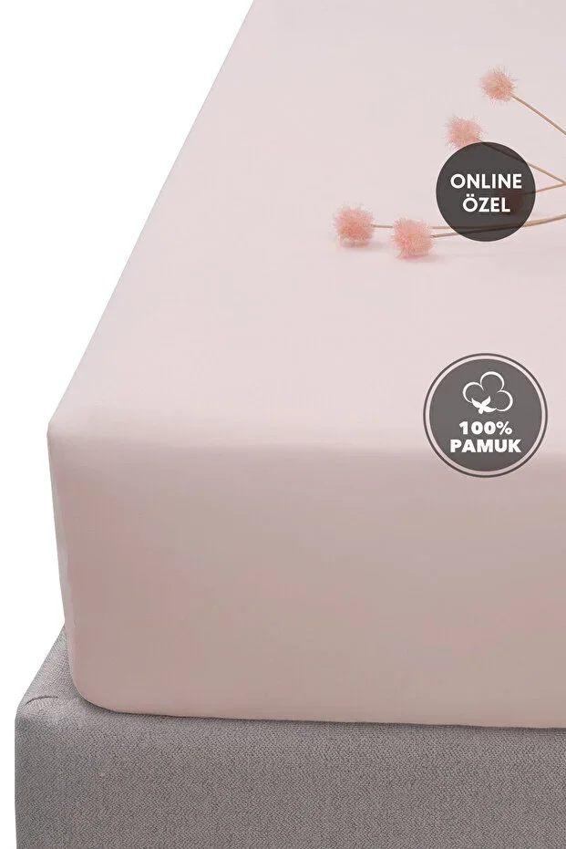 Softy Double Size 100% Cotton Fitted Jersey Sheet - Powder