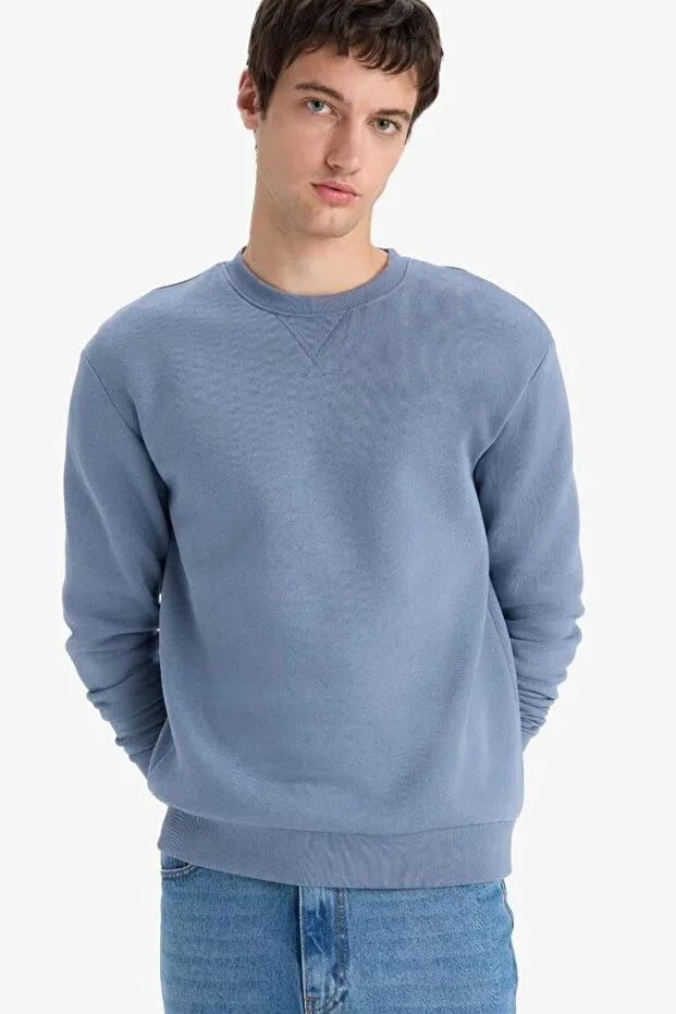 Regular Fit Bicycle Collar Basic Plain Thick Sweatshirt T3777AZ25AU