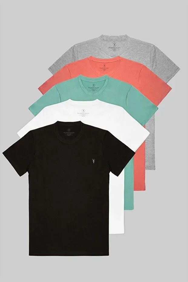 Standard Fit Men's 5-Pack T-shirt